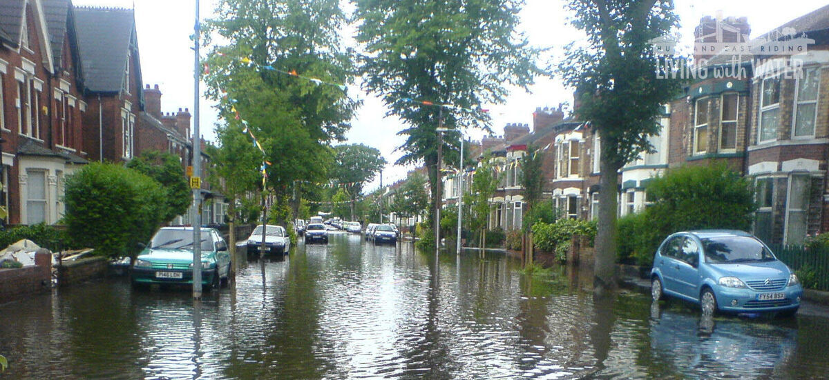A photo of a street submerged in water, with cars, trees and houses submerged also.